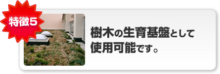 特徴5 樹木の生育基盤として使用可能です。